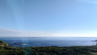 230902-kyozoide00.jpg