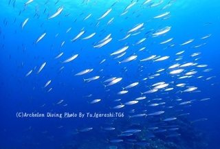 230909-iga-04muro.jpg