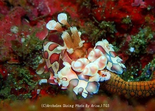 230909-izum-01huri.jpg