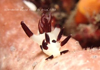 230910-izm-01pnada.jpg