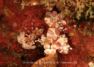 230922-take-01hurisode.jpg