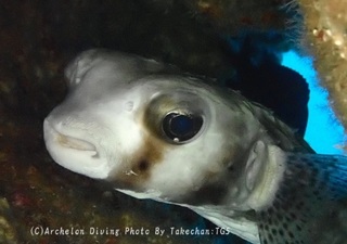 230922-take-02ishigaki.jpg