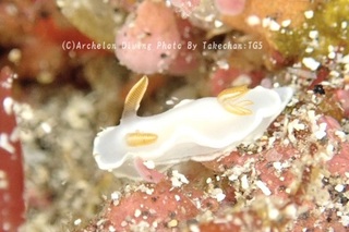 230922-take-04herishiro.jpg