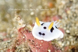 230922-take-05daiana.jpg
