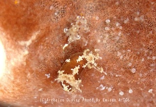 230923-emi-04mousan.jpg