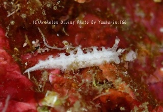 230923-yukar-04hokuyo.jpg