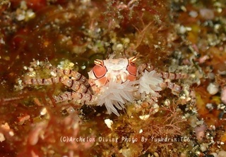 230924-ykr-01kinchak.jpg