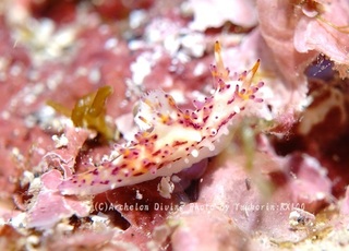 230924-yuk-05senhim.jpg