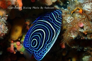 230928-kado-01tatekin.jpg