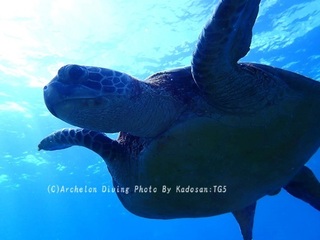 230928-kado-03ao.jpg