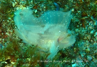 230930-saya-07hadaka.jpg