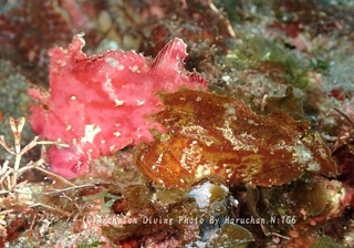 231019-ngn-02hadaka.jpg