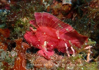 231021-aki-03hadaka.jpg