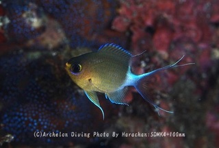 231021-har-02maru.jpg
