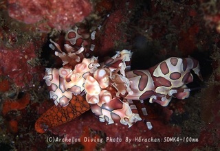 231021-har-04huri.jpg
