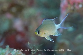 231022-har-03maru.jpg