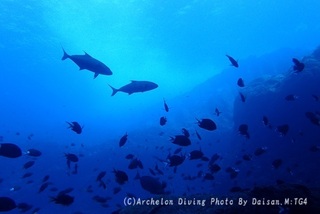 231026-mkid-01kanpa.jpg