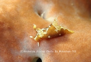 231028-mih-04mousan.jpg