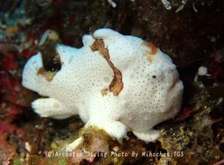 231028-mih-05irokaeru.jpg