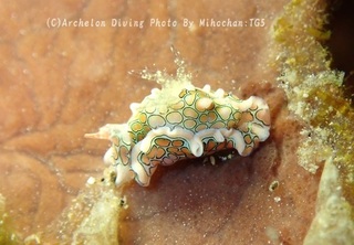 231028-mih-06toumon.jpg