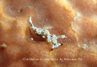 231028-mih-07aomon.jpg