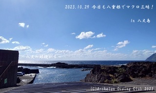 231029-yyy02.jpg