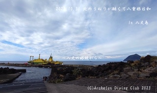 231031-yyy02.jpg