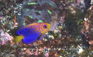 231103-kuma-02renten.jpg