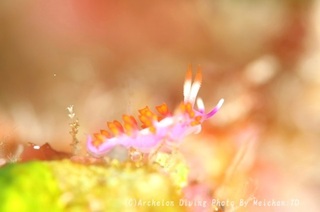 231123-mei-01ruju.jpg