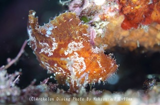 231125-ko-01hadaka.jpg