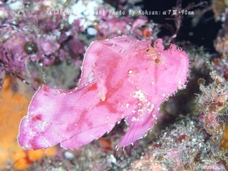 231125-ko-02hadaka.jpg