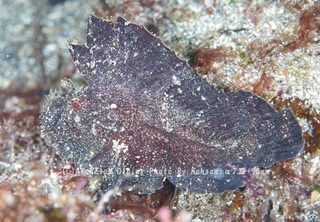 231125-ko-06hadaka.jpg