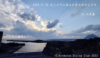 231130-y02.jpg