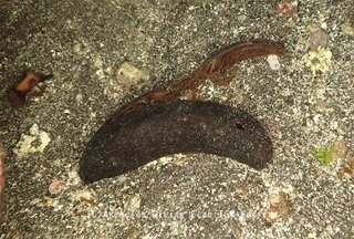 231203-blog.jpg