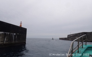 231205-bn.jpg