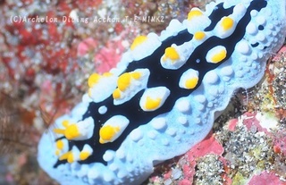 231209-tok-03egg.jpg