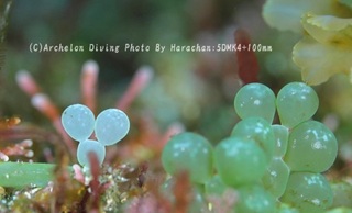 231215-har-04micky.jpg