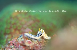 231222-nor-03cole.jpg