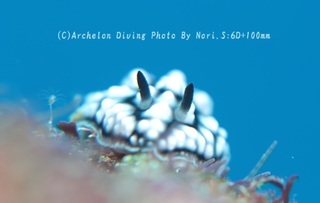 231222-nor-04koibo.jpg