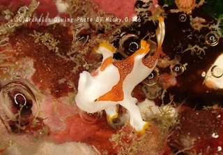 231228-on-02kuma.jpg