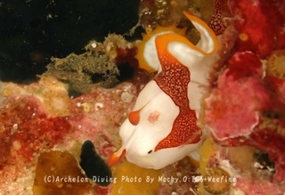 231230-on-07kuma.jpg