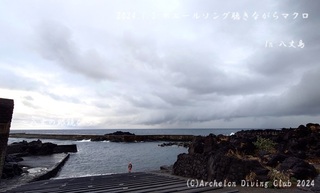 240102-y02.jpg