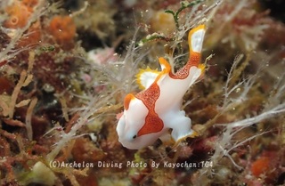 240103-kay-01kuma.jpg