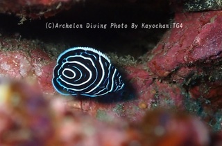 240104-kay-02tatekin.jpg