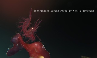 240105-nori03shim.jpg