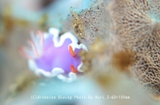 240106-nori-01rabend.jpg