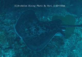 240106-nori-06.jpg