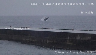 240111-y002.jpg