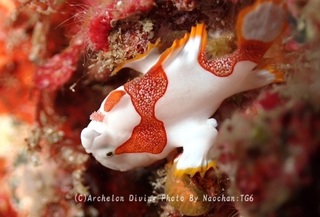 240112-nao-02kuma.jpg