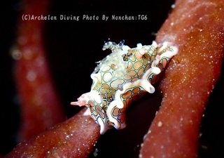 240112-non-02toumon.jpg